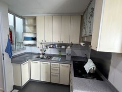 Park Green (D19), Condominium #563492551